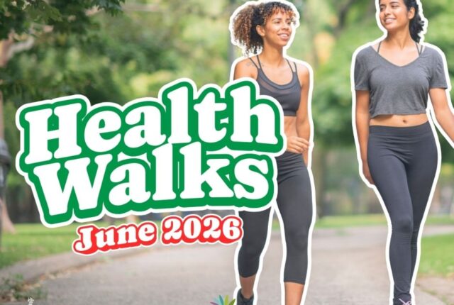 Enjoy the outdoors with June health walks